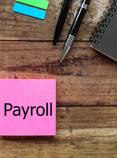 Payroll Consultants Near Me